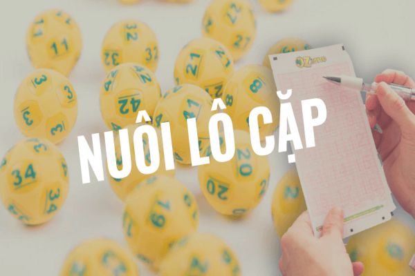 Giới thiệu về nuôi lô cặp